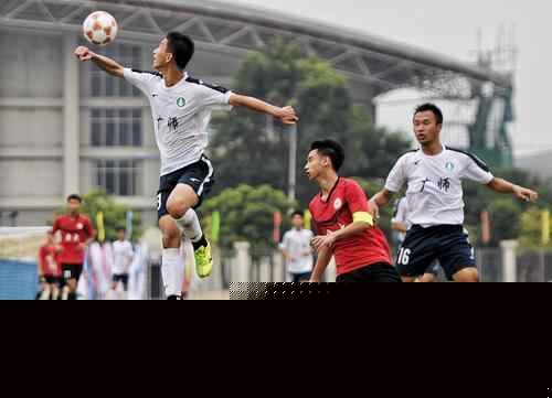 热议国足选帅：本土教练是陪标的；选土帅洋帅都是领导一句话（国足选帅引发热议：本土教练被指成陪跑，土帅洋帅归根还是领导说了算）